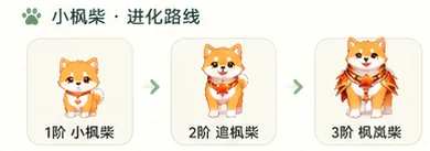 柴犬伙伴 / 外观进化