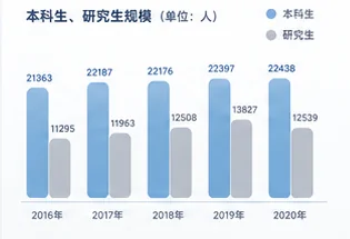 本科生研究生规模柱状图局部